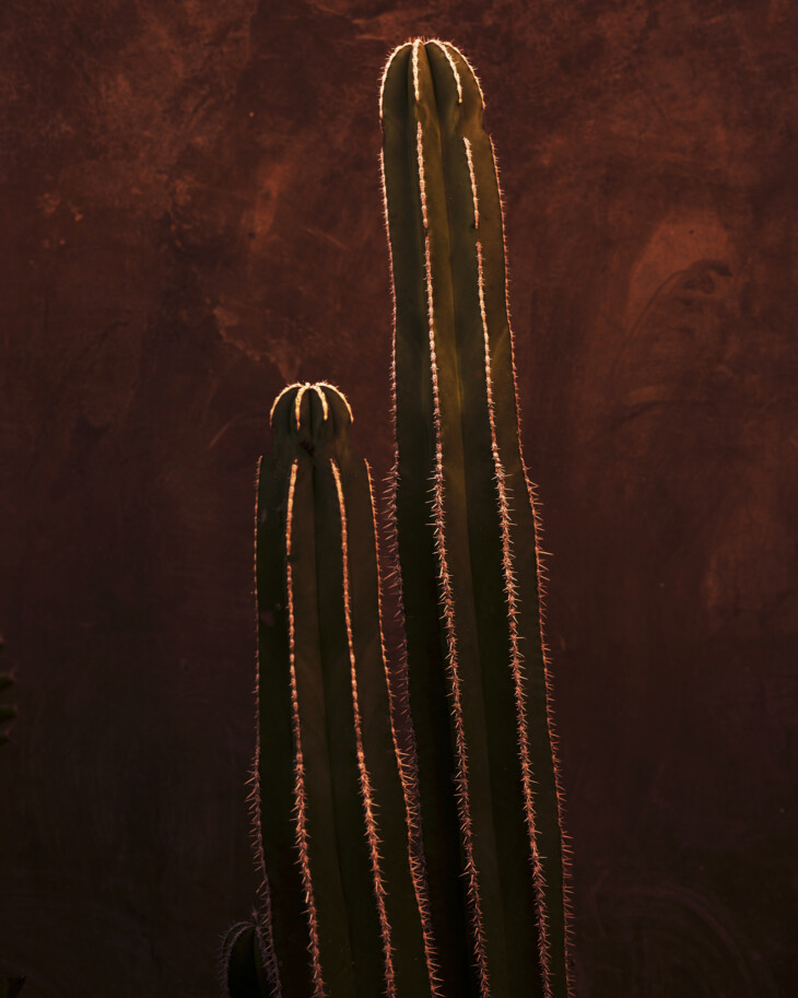 Mexican Fragments #20 - 1/10