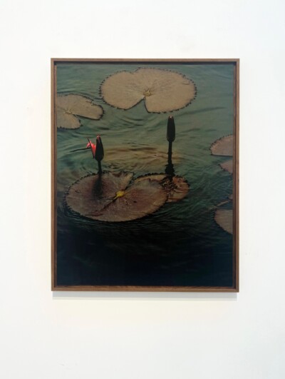 17964_Lotte-Ekkel_Kunming-Lelies-8211-110_74x92x4_en.jpeg Kunming Lelies - 1/10